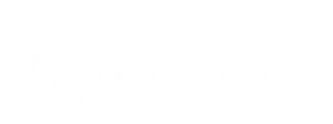 Enterprise Northern Ireland logo
