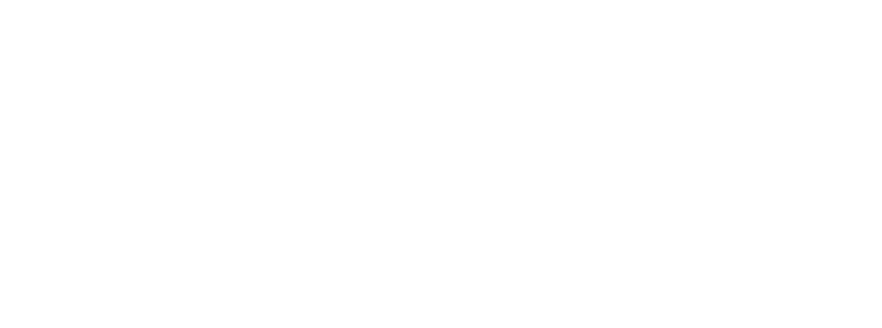 Enterprise Northern Ireland logo